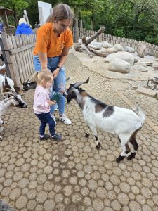 Tripsdrill 26./27.7.2025