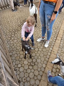 Tripsdrill 26./27.7.2025