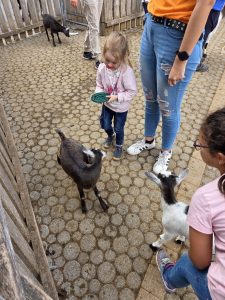 Tripsdrill 26./27.7.2025