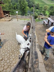 Tripsdrill 26./27.7.2025