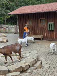 Tripsdrill 26./27.7.2025