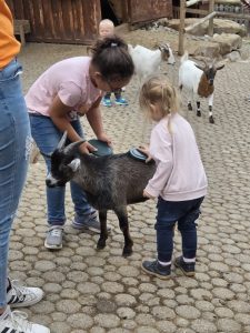 Tripsdrill 26./27.7.2025