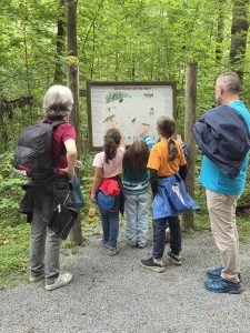 Tripsdrill 26./27.7.2025