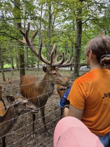 Tripsdrill 26./27.7.2025