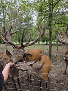 Tripsdrill 26./27.7.2025