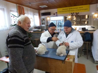 Lokalschau am 30.11./01.12.2023