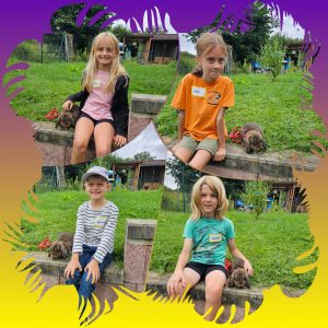 Sommerferienprogramm am 08.08.2024